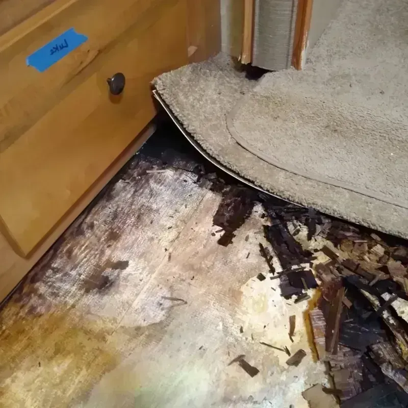 Best Wood Floor Water Damage Service in Lindenhurst, NY